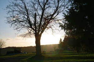 Haus und Hof